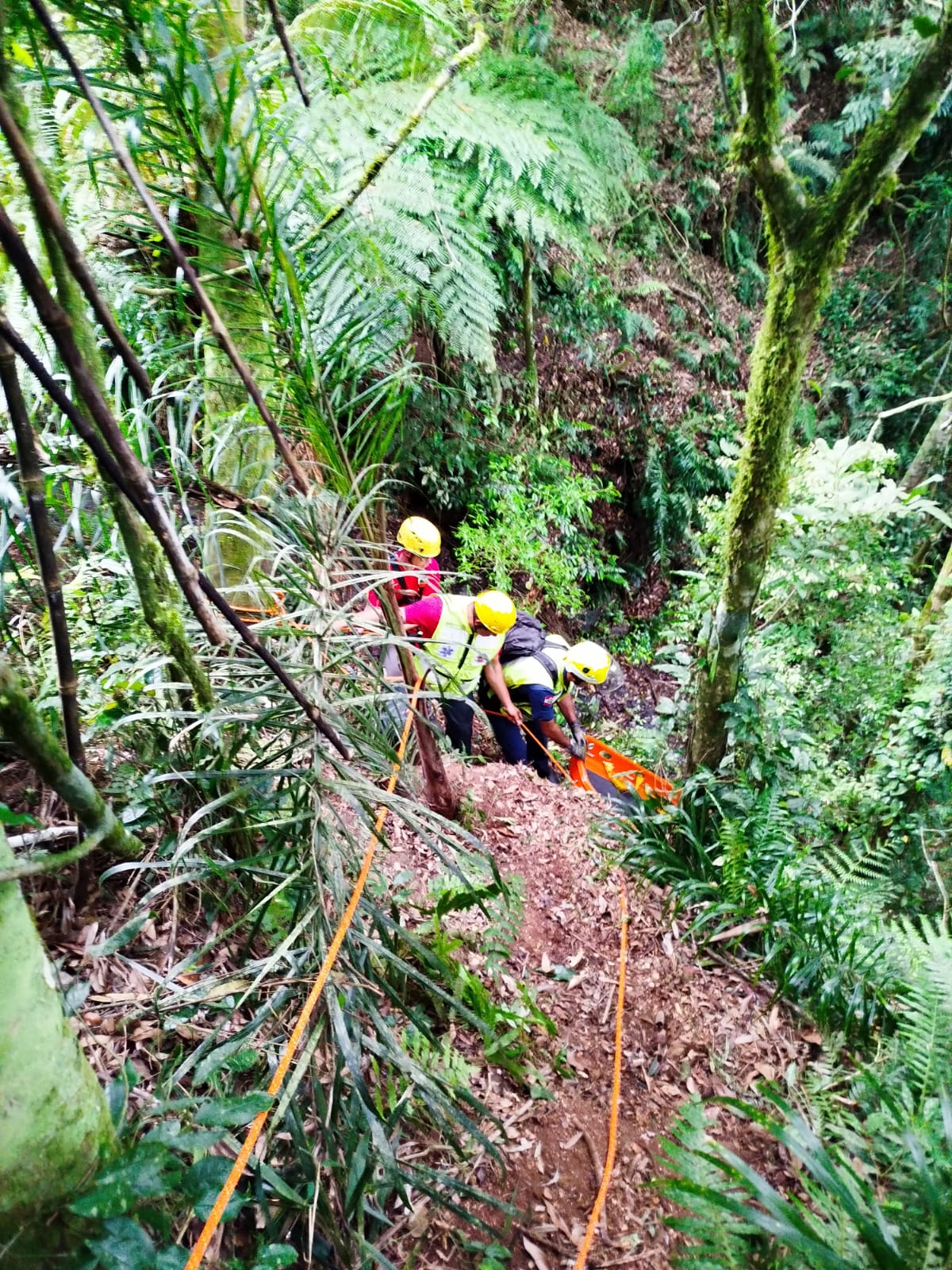 Resgate emocionante: bombeiros salvam mulher que caiu de ribanceira