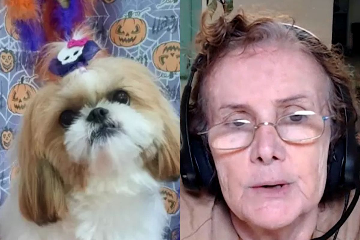 Até o cachorro? Sogra de professora envenenada é suspeita de outras mortes na família