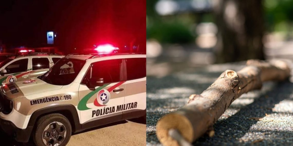 Mãe é presa após agredir filho de 8 anos com galho de árvore