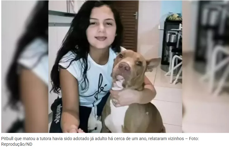 Adoção e jugular dilacerada: o que se sabe sobre o pitbull que matou a própria tutora em Goiás